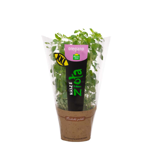 POKARM ŻYCIA Oregano XL