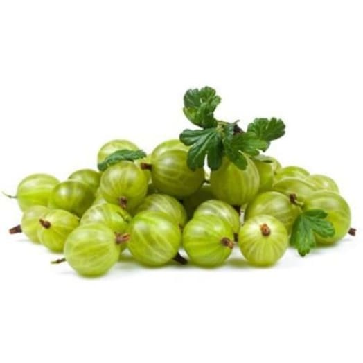 FRISCO FRESH Agrest krajowy