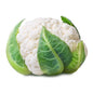 FRISCO FRESH Kalafior