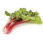 FRISCO FRESH Rabarbar krajowy