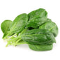FRISCO ORGANIC Szpinak BIO